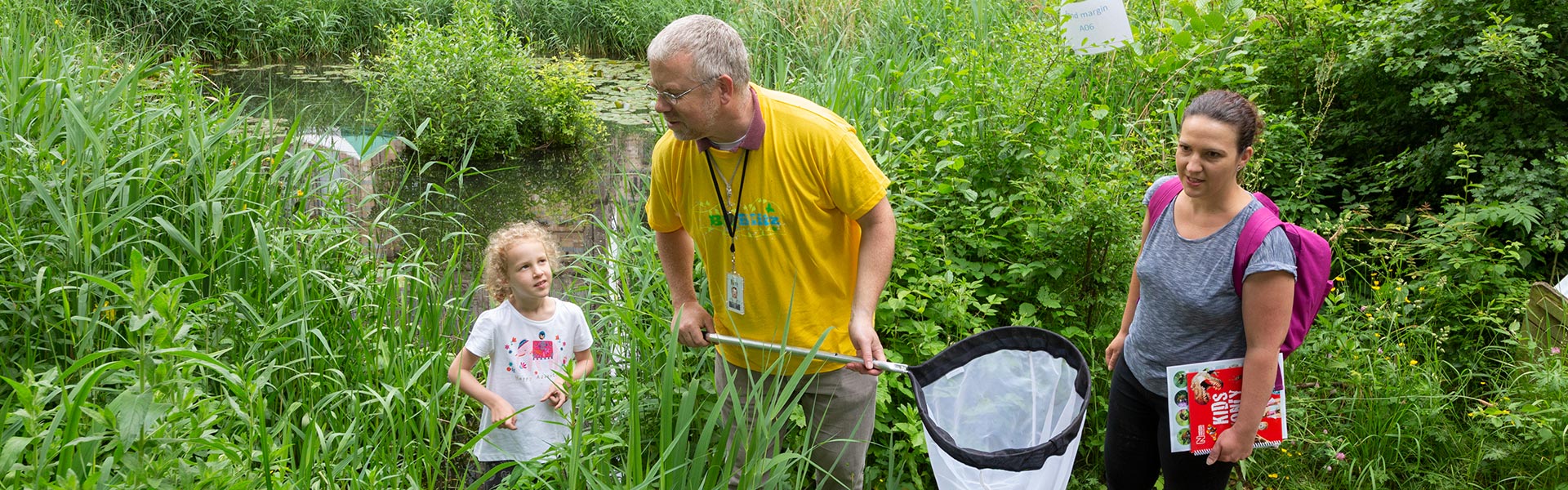 A family search for insects in the museum gardens with a large net